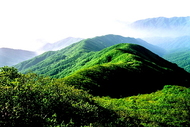 차악산